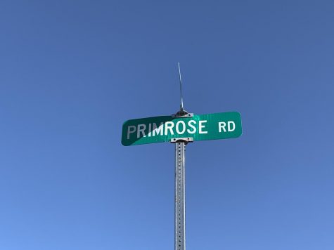 Primrose Rd.