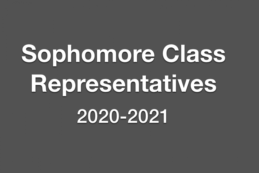Potential+Sophomore+Representatives+Seek+Votes
