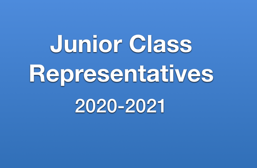 Candidates+for+Junior+Representatives+Campaigning+for+Election