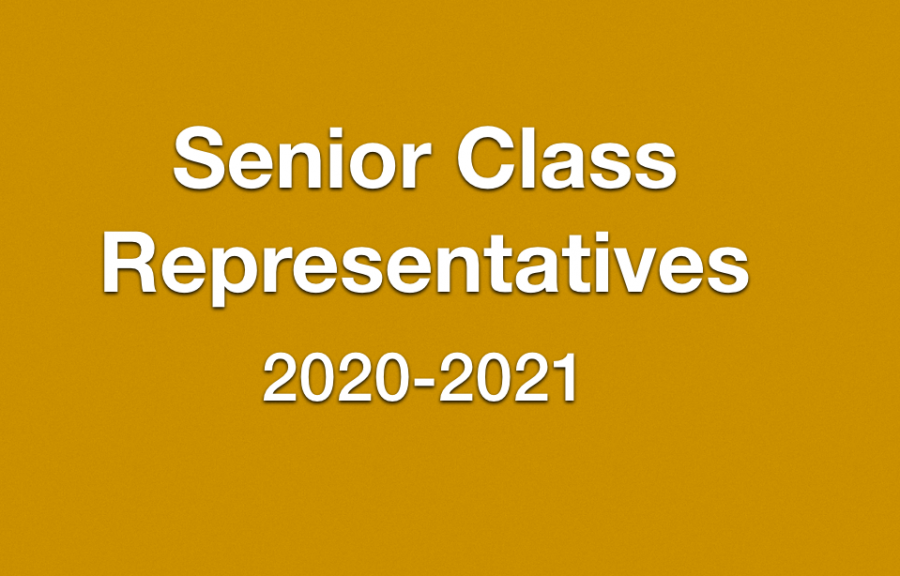 Seniors+Vie+for+Class+Representative