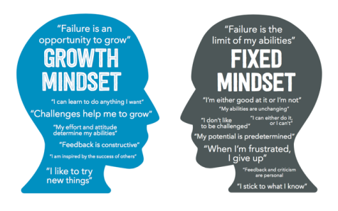 Growth vs. Fixed Mindset picture from Ameet Ranadive