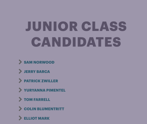 Junior Candidates for Class Officers