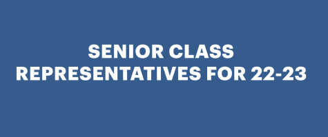 Students Seeking Senior Representative Spots
