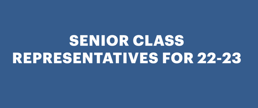 Students+Seeking+Senior+Representative+Spots
