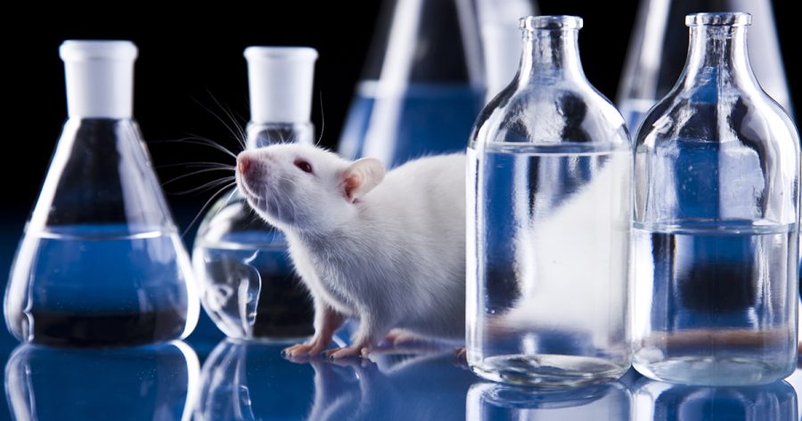 The Debate on Ethics in Experiments